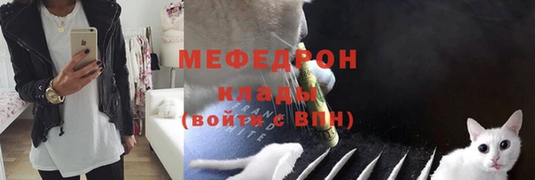 мдпв Няндома