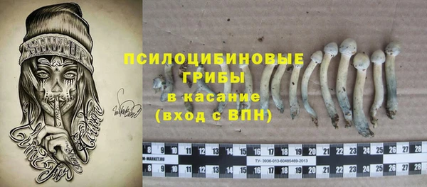 твердый Апатиты