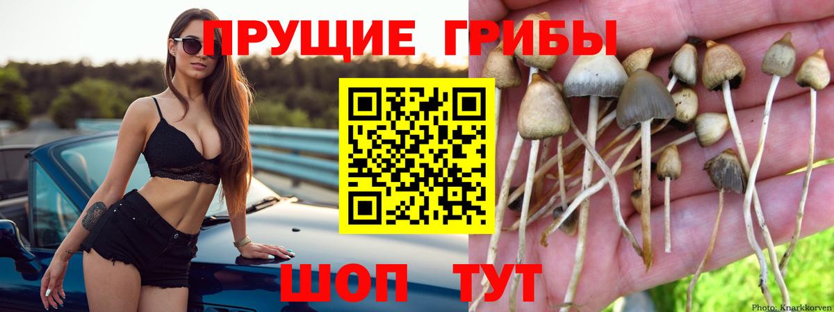 Псилоцибиновые грибы мицелий Алапаевск